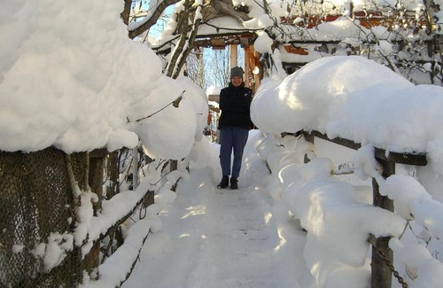 Kachemak Bed & Breakfast | Brigitte's Bavarian Bed und Breakfast