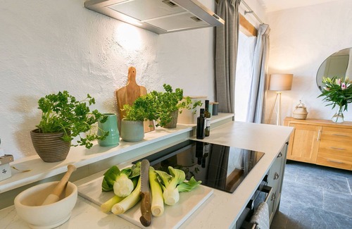 Bodorgan Cottage | Bryn Eithin - a remote that sleeps 2 guests in 1 bedroom