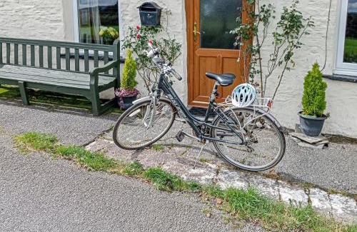 Glandyfi House | Bryntrisant