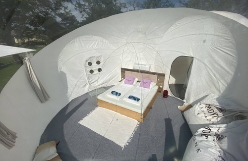 Steinbach am Attersee Cabin | Bubble Tent Hotel