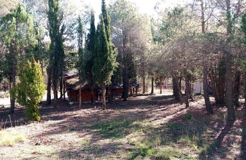 Torremanzanas Other | Buena Vista Cabañas Económicas