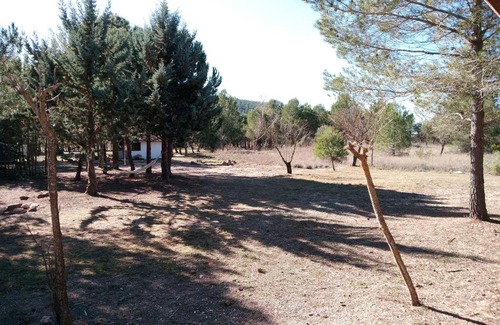 Torremanzanas Other | Buena Vista Cabañas Económicas