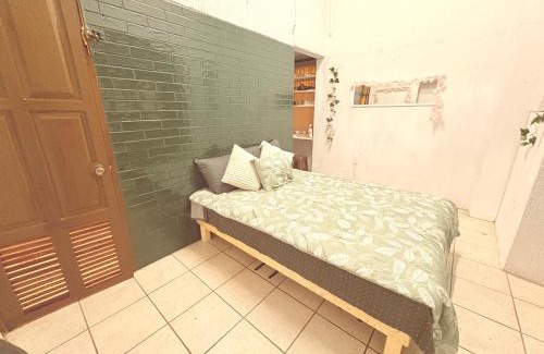 Zacatecas Centro Apartment | Bugambilias