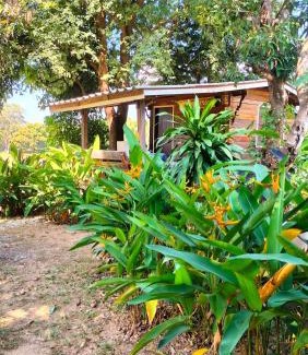 Mae Tha House | Bumnum Homestay