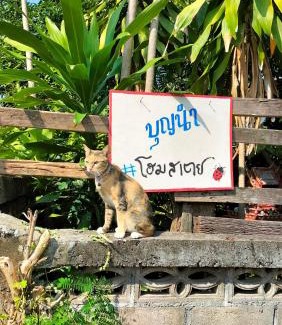 Mae Tha House | Bunnum Homestay