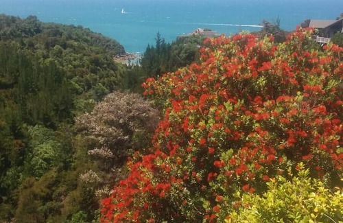 Ngaio Bay Apartment | Bush and Seaview Studio