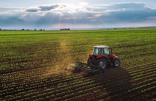 Carballedo Cottage | Buxo Rural Cottage - Ribeira Sacra. Full rental