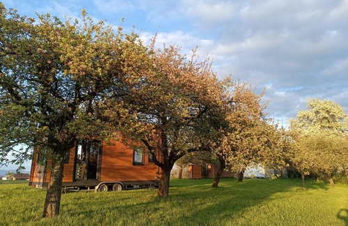 Mayrhof House | By Wolfsberger