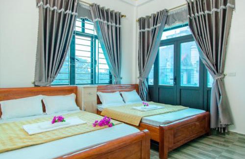 Co To Hotel | Cô Tô Homestay Lan Nghiệp