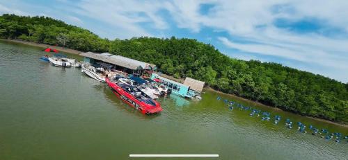 Can Gio Other | Cần Giờ Floating House