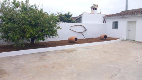 Tous House | Ca Michico