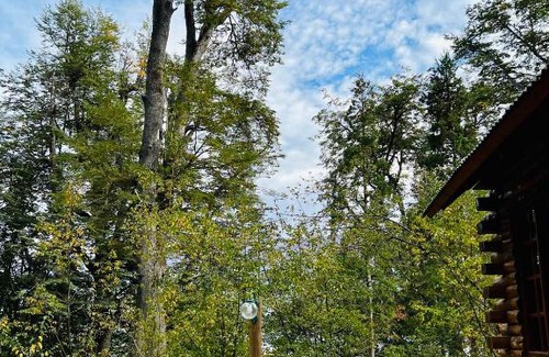 Esquel Villa | Cabaña en la costa del Lago Futalaufquen - Parque Nacional Los Alerces