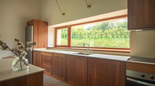 Lierganes Ski Chalet | Cabaña Quieva 02