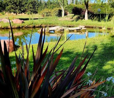 Rama Caida Cabin | Cabañas Altos de la Bodega