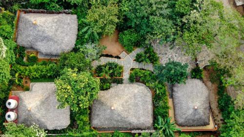 Mazunte Bed & Breakfast | Cabañas Amaia