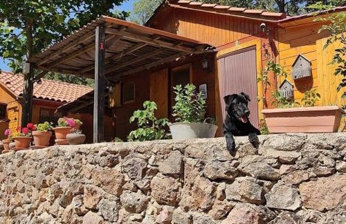 Penascosa Other | Cabañas Camping Sierra de Peñascosa