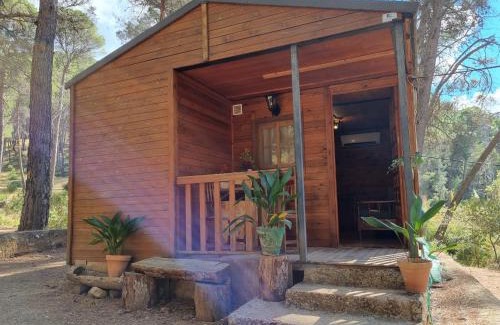 El Robledo Other | Cabañas El Robledo