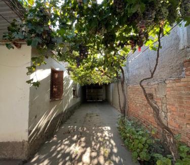 Cuadro Nacional Apartment | Cabañas El Rosal departamento