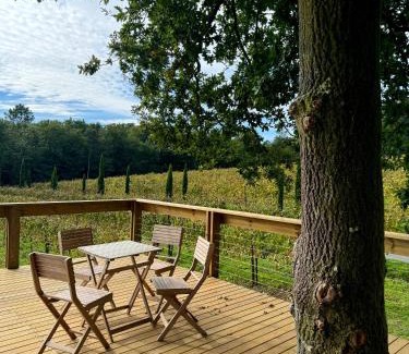 Fraga Other | Cabañas Enoturismo María Manuela