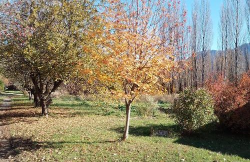 Hoyo de Epuyen House | Cabañas Huayra