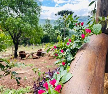 Caraa Cabin | Cabana Ipê Amarelo - Trilha do Mato