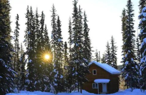 Fairbanks Apartment | Cabin in the woods Fairbanks, Alaska, United States