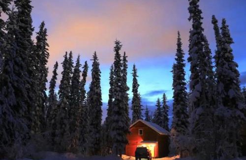 Fairbanks Apartment | Cabin in the woods Fairbanks, Alaska, United States