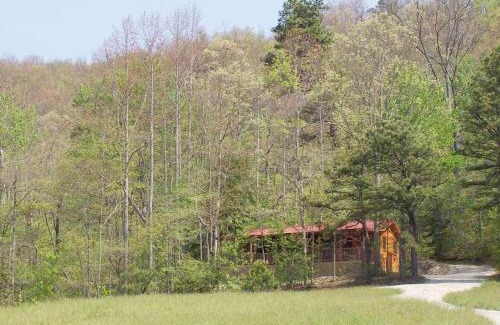 Hendersonville House | Cabin on the Hill-Peaceful 1BR 20-Acre Rural Retreat-HotTub&WiFi near Asheville