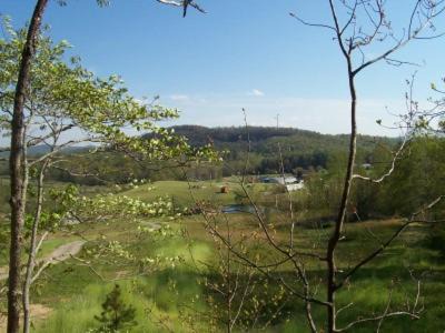 Hendersonville House | Cabin on the Hill-Peaceful 1BR 20-Acre Rural Retreat-HotTub&WiFi near Asheville