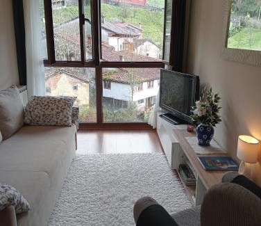 Carrena Apartment | Cabrales Sol