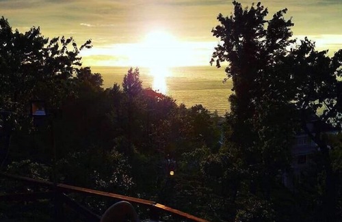 Cayeli Apartment | Caca Bungalow & Apart