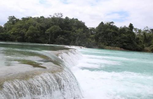 Gallo Giro Cabin | Cafe IXIM TÉ