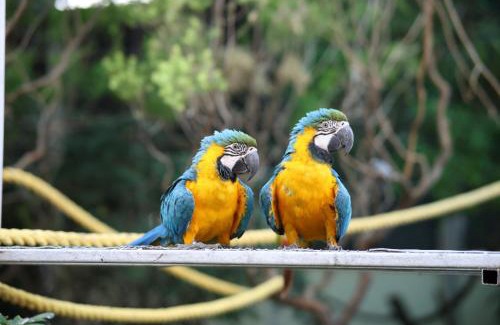 Khodala Resort | Camel Valley Resort & Spa, Igatpuri