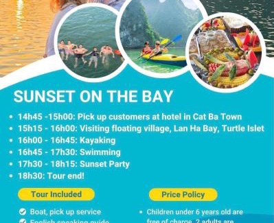 Lang Son Apartment | Camellia home