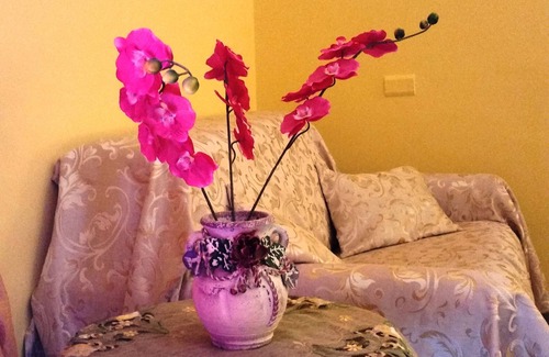 Fondi Bed & Breakfast | Camere Primavera B&B