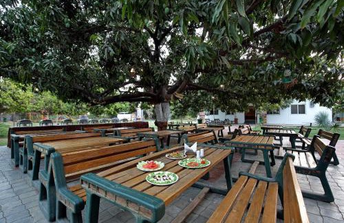 Borsad Resort | Camp Dilly