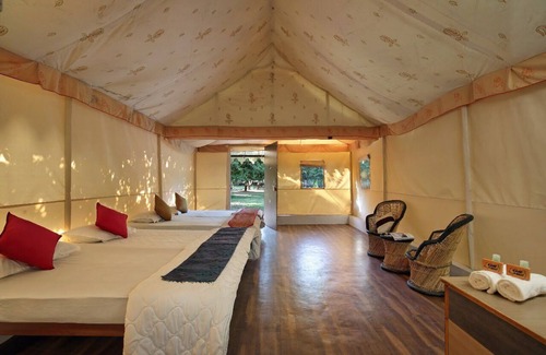 Borsad Resort | Camp Dilly