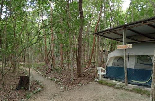Calakmul Other | Campamento Yaax Che en Calakmul
