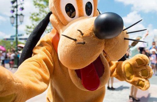 Pommeuse Other | Camping Le Chêne Gris - Roan