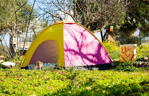 Bni Quolla Other | camping panorama