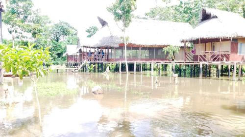 San Juan de Yanayacu Cabin | CAMUNGO jungle Lodge in indigenous community ALL INCLUSIVE