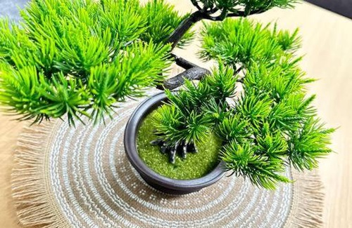 Brownlow Ki House | CandE’s Guesthouse