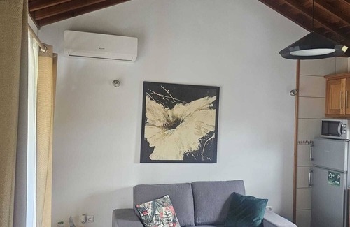 Madalena House | Canopus star house.