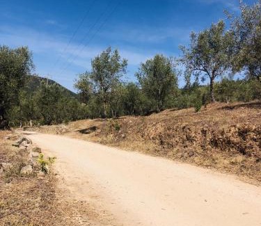 Serta House | Canto do Zêzere, Sertã, Dornes, Castelo do Bode