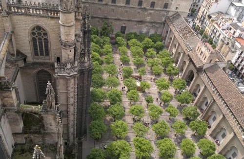 San Jose de La Rinconada Apartment | CARLOS APARTAMENTo