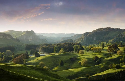 Piopio Bed & Breakfast | Carmel Farmstay