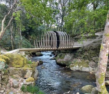 O Freixo House | Casa 2 Gallos