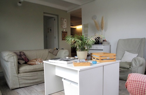 Puerto Madryn Hostel | Casa Amonite Hostel Boutique