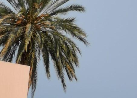 Lujar Apartment | Casa Angeles