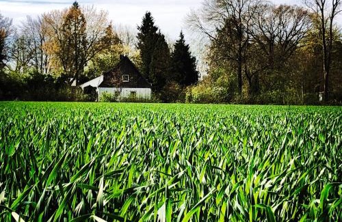 Konigsmoor Apartment | Casa Angres - Lüneburger Heide